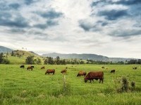 Agricultural land purchases over $15 million set for Foreign Investment Review Board scrutiny